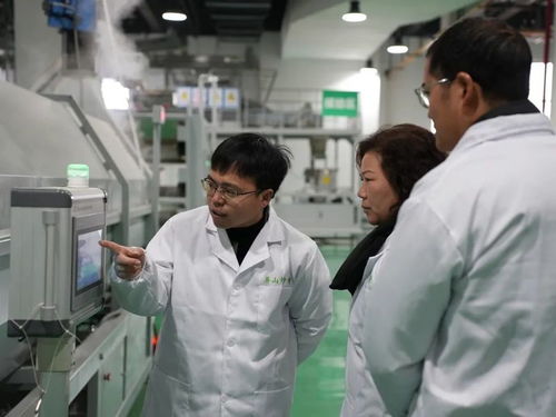 屏山茶叶新技术培训引领产业升级，信息技术咨询服务助力提质增效